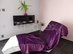 Deka mikro - tmavě fialová Přehoz na postel a deky - Deky - 150x200
