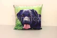 Fotopolštář černý Labrador - Povlečení Povlečení