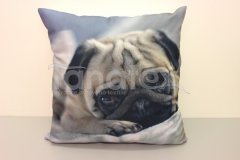 Fotopolštář Mops na šedé - Povlečení Povlečení