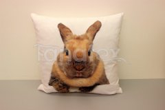 Fotopolštář králík béžový - Povlečení Povlečení