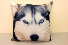 Fotopolštář Husky - Polštářky - Fotopolštář zvíře Polštářky - Fotopolštář zvíře
