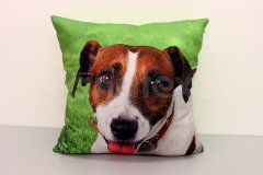 Fotopolštář Jack Russel teriér - Polštářky - Fotopolštář zvíře Polštářky - Fotopolštář zvíře