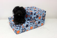 Schody pro psa Galaxie oranžová na modré Schody pro psy a kočky - Schody