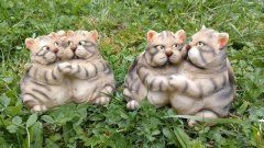 Kočky tlusté kasička Pokladničky