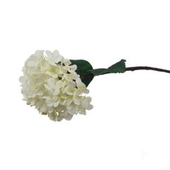 Hortenzie krémová X5788-26 Bytové doplňky a nábytek - Závěsy - Květiny