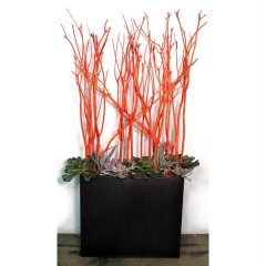 větve Mitsumata 3ks-sv. 140cm - oranžové 381988-04 Bytové doplňky a nábytek - Závěsy - Květiny