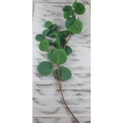 Krabičky, stojánky a zásobníky - Větev topolu 75 cm, ZELENÁ Větev topolu 75 cm, ZELENÁ