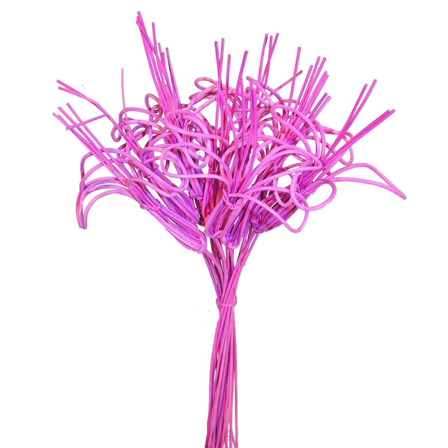 kytka pedig,10ks-40cm sv.fialová 381570-10 - Pedig