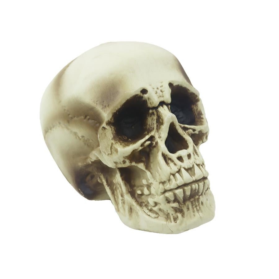Dekorace na Halloween lebka X7000 - Vánoční dekorace