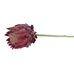 Krabičky, stojánky a zásobníky Květiny - Umělá protea X6859-08 Umělá protea X6859-08