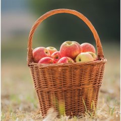 Trháček prům. 35cm 067036/35 Dům, byt a zahrada