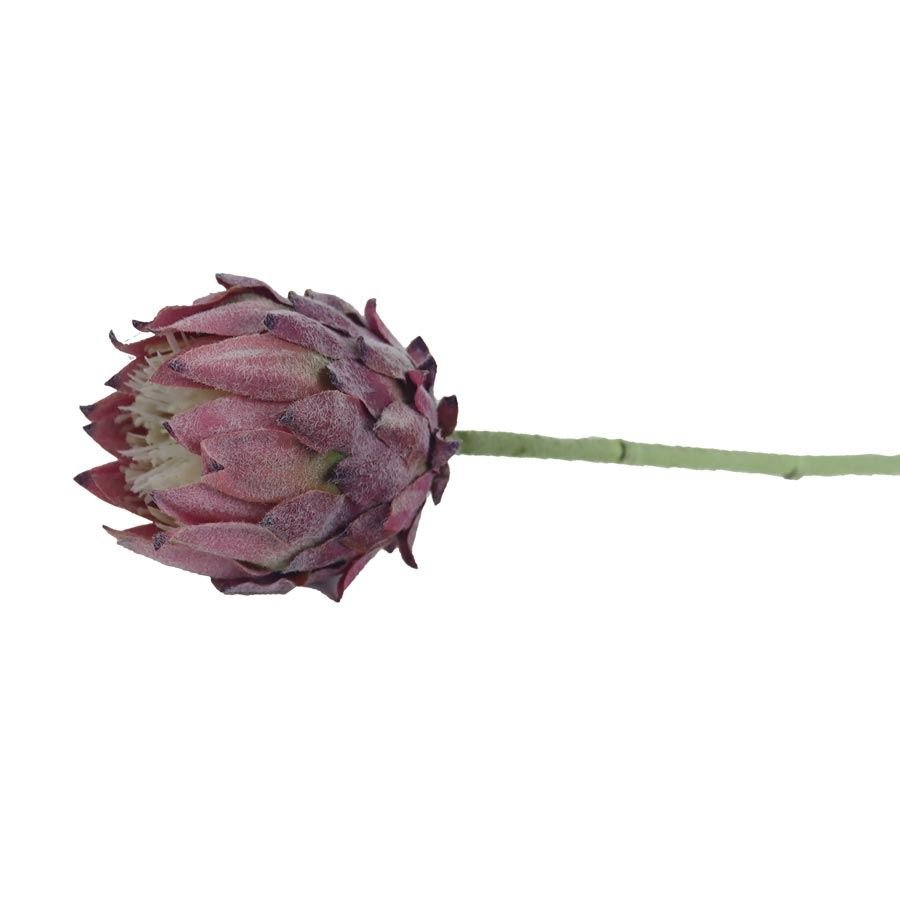 Umělá protea X6859-10 - Květiny