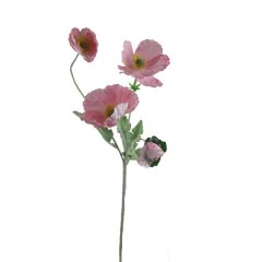 Vlčí mák X7963-05