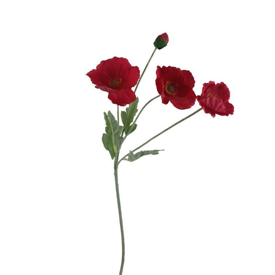 Vlčí mák X7963-08 - Květiny