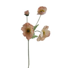 Vlčí mák X7963-33 Krabičky, stojánky a zásobníky - Květiny