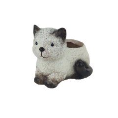 Dekorace k osázení kočka X8111 Dům, byt a zahrada