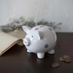 Pokladnička prasátko X3952 Závěsná dekorace, zápichy, věšáky - Pokladničky