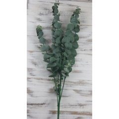 eukalyptus 78 cm, tmavě zelená Krabičky, stojánky a zásobníky - Květiny