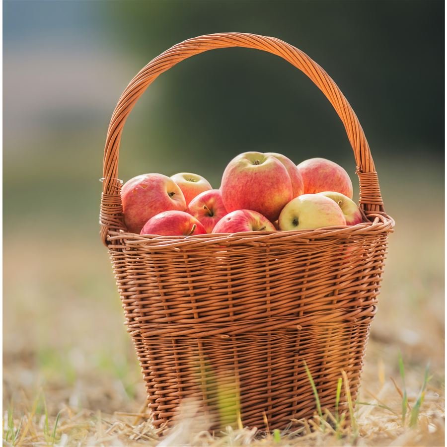 trháček prům. 20cm 067036/20 - Dům, byt a zahrada