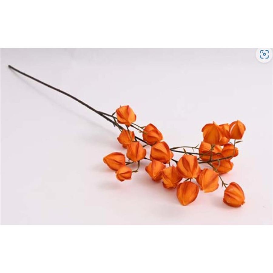 Krabičky, stojánky a zásobníky - Květiny - Větev physalis 96 cm, oranžová 371355 Větev physalis 96 cm, oranžová 371355 - Květiny
